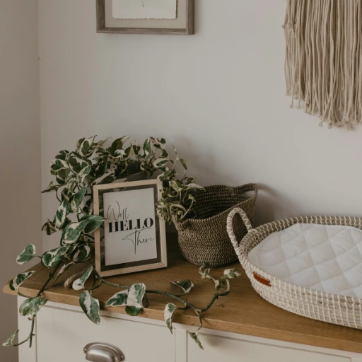 Mes accompagnement : baby planner